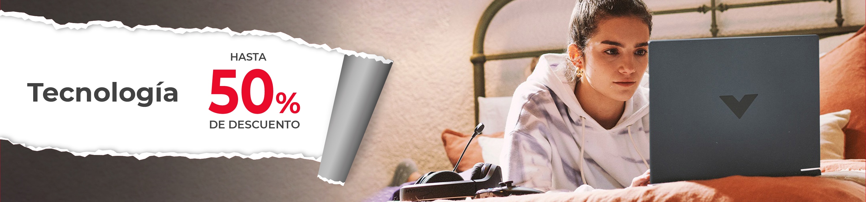 banner-principal