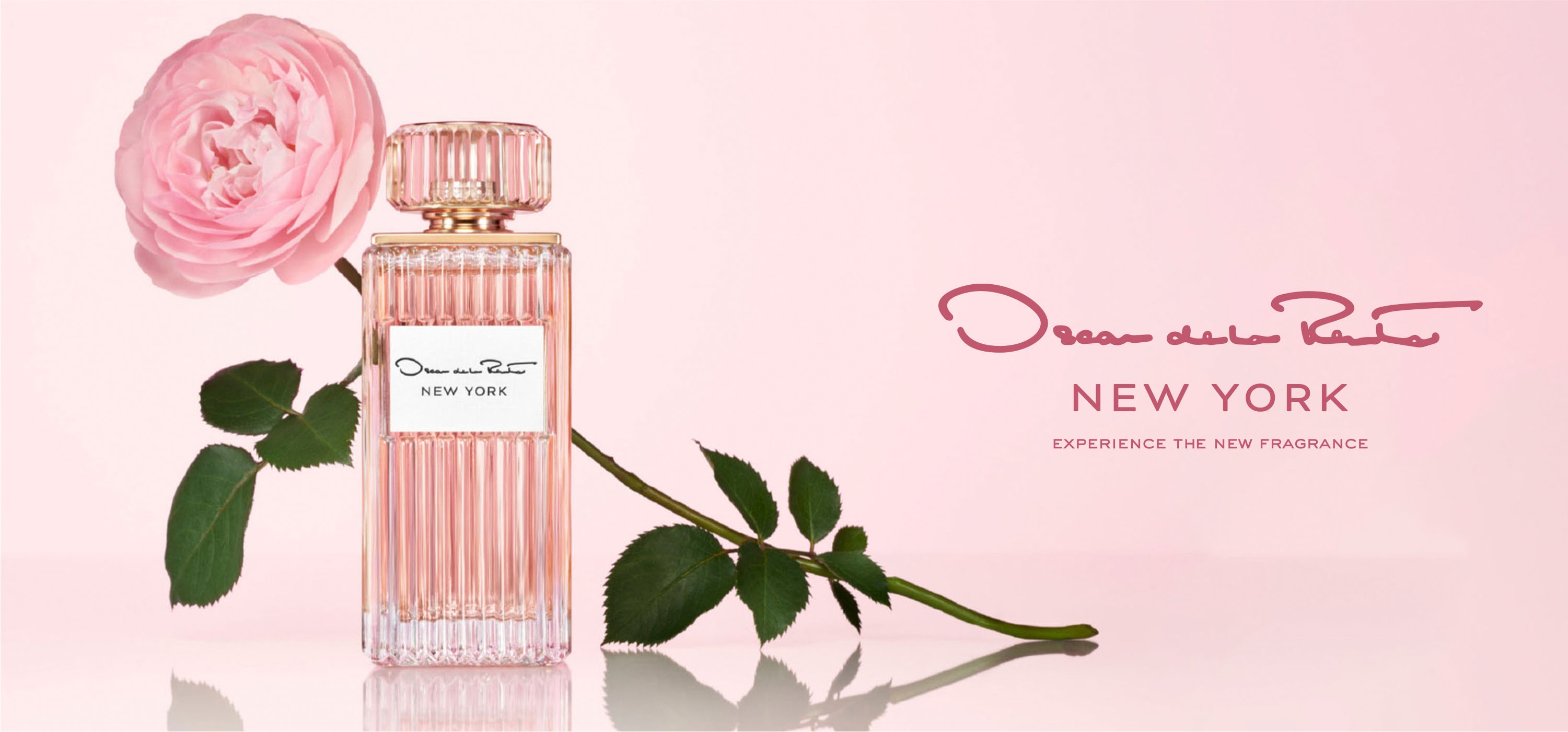 Belleza y Perfumería