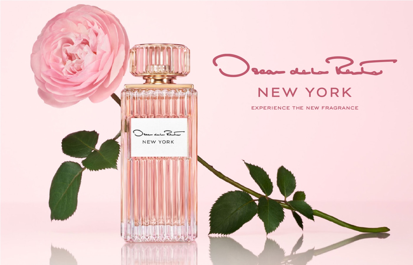 Belleza y Perfumería
