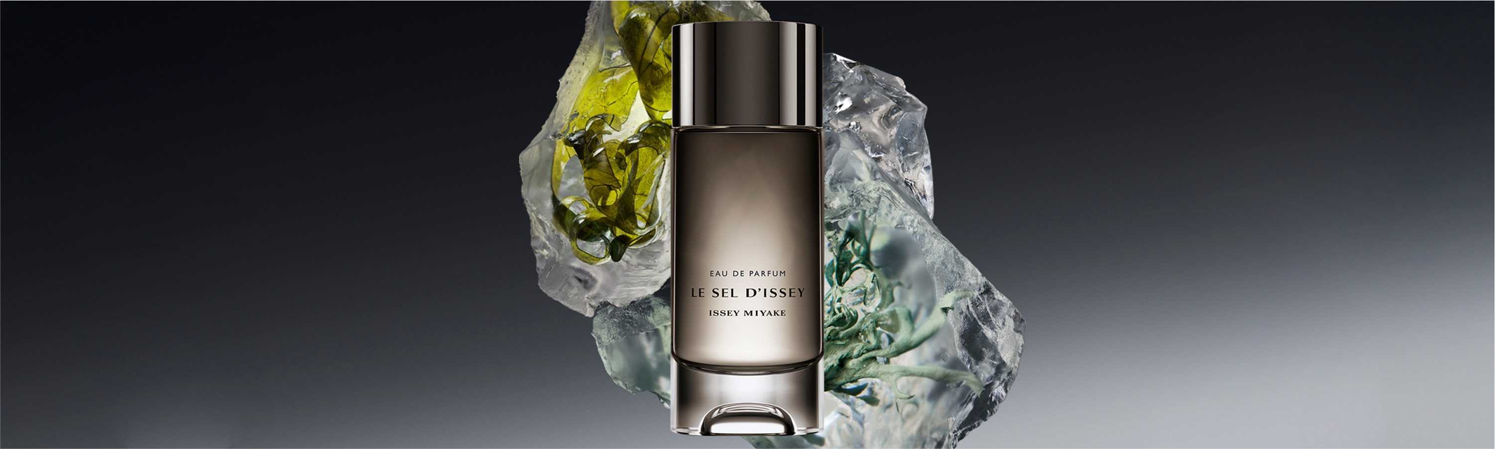 Belleza y Perfumería