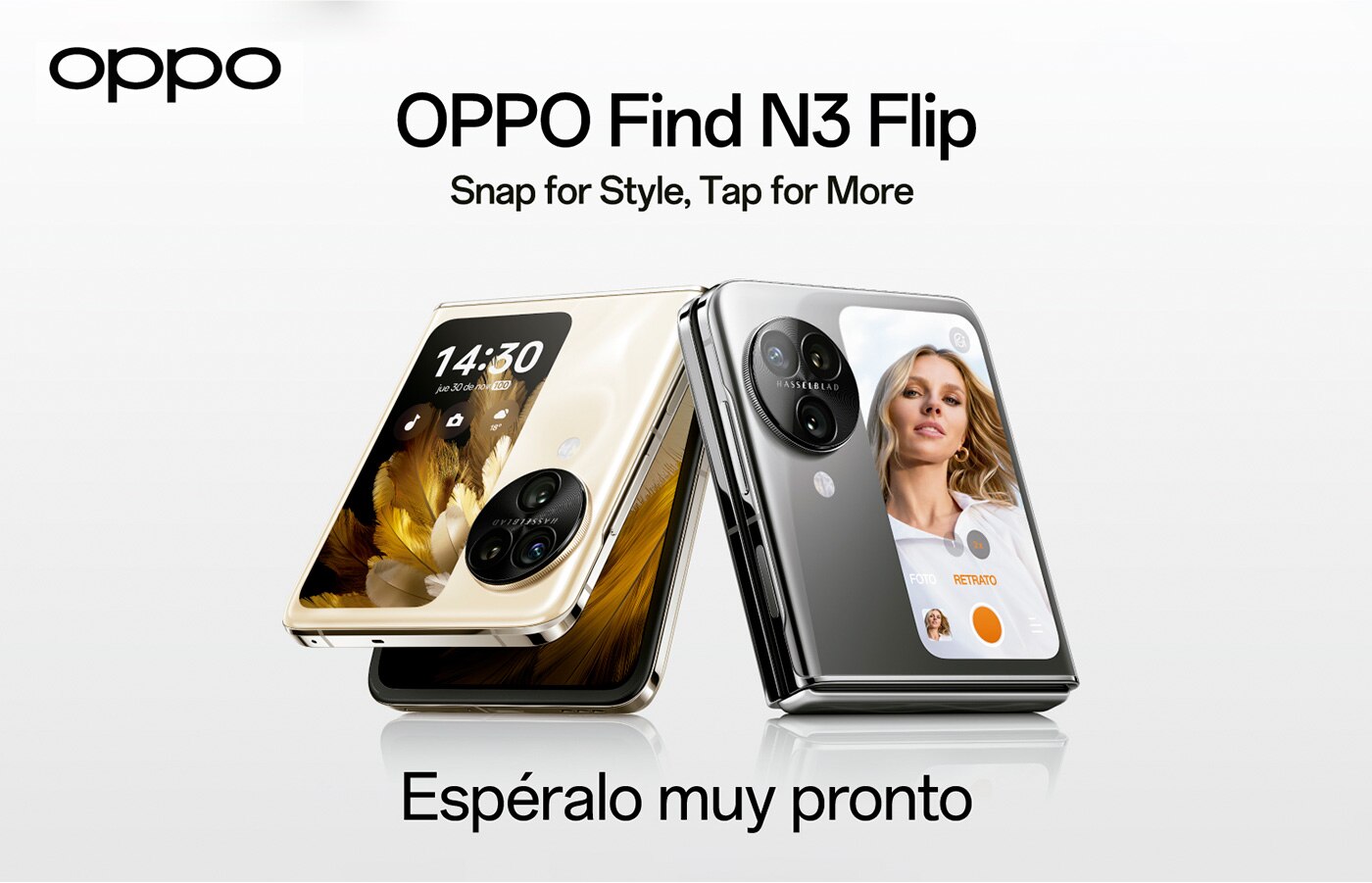 Banner Principal