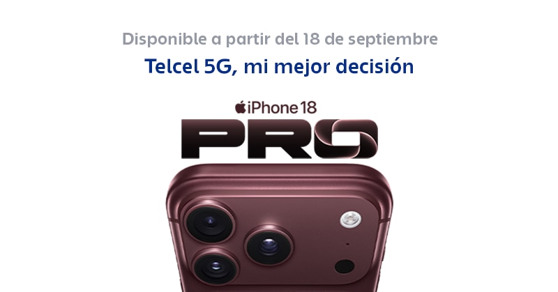 BANNER-PRINCIPAL