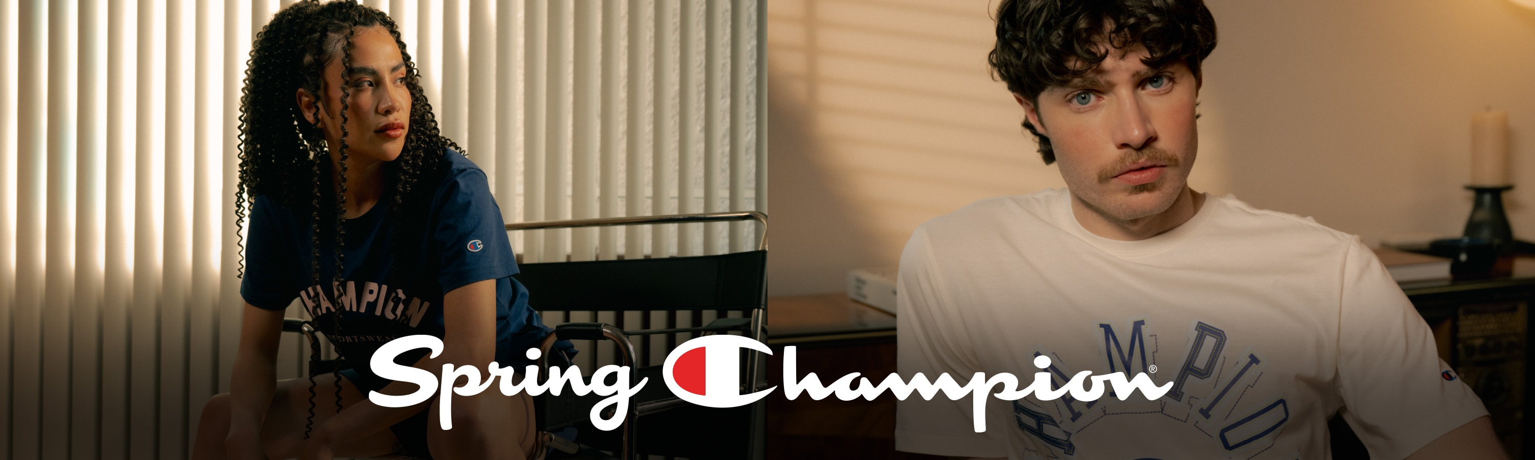 banner-principal