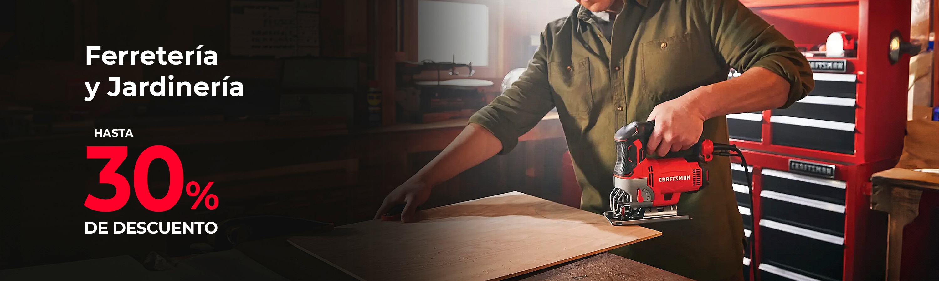 banner-principal