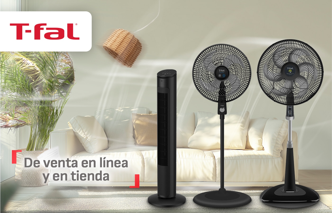 Banner_principal LB