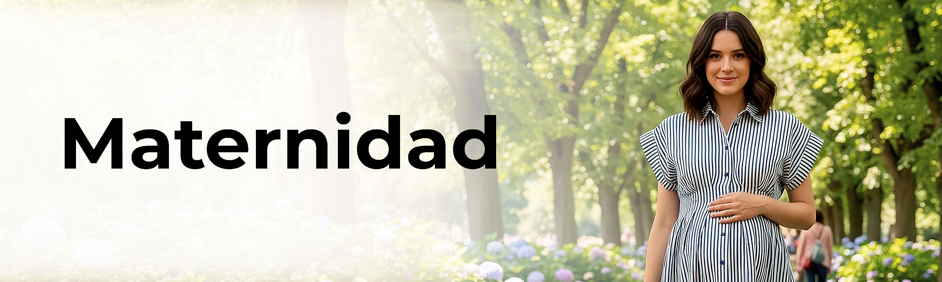 banner-principal
