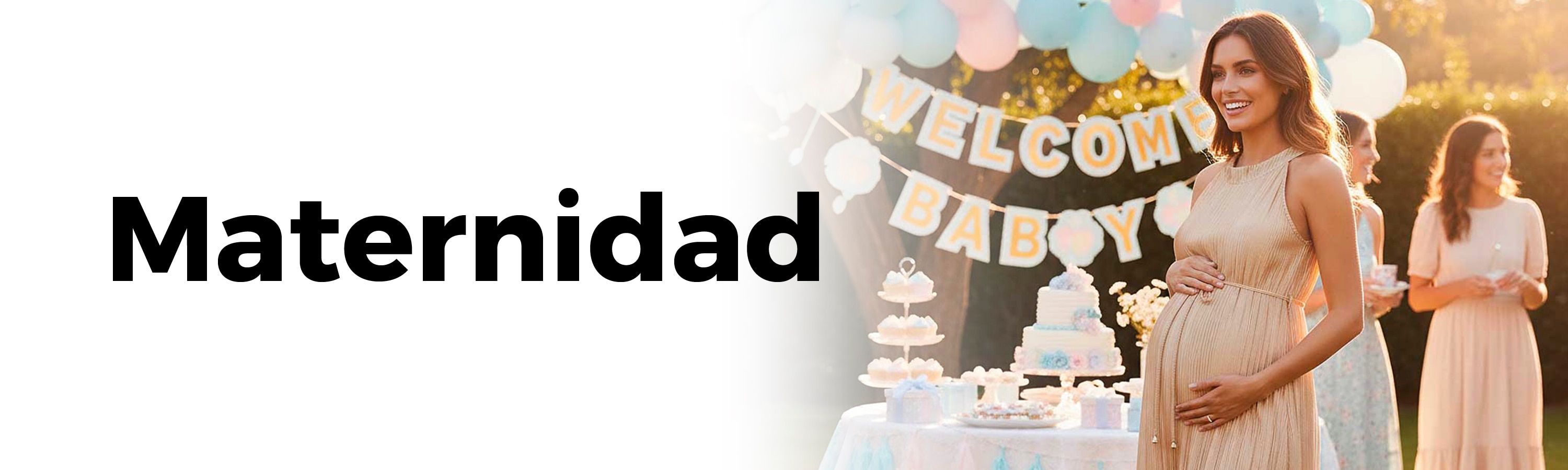 banner-principal