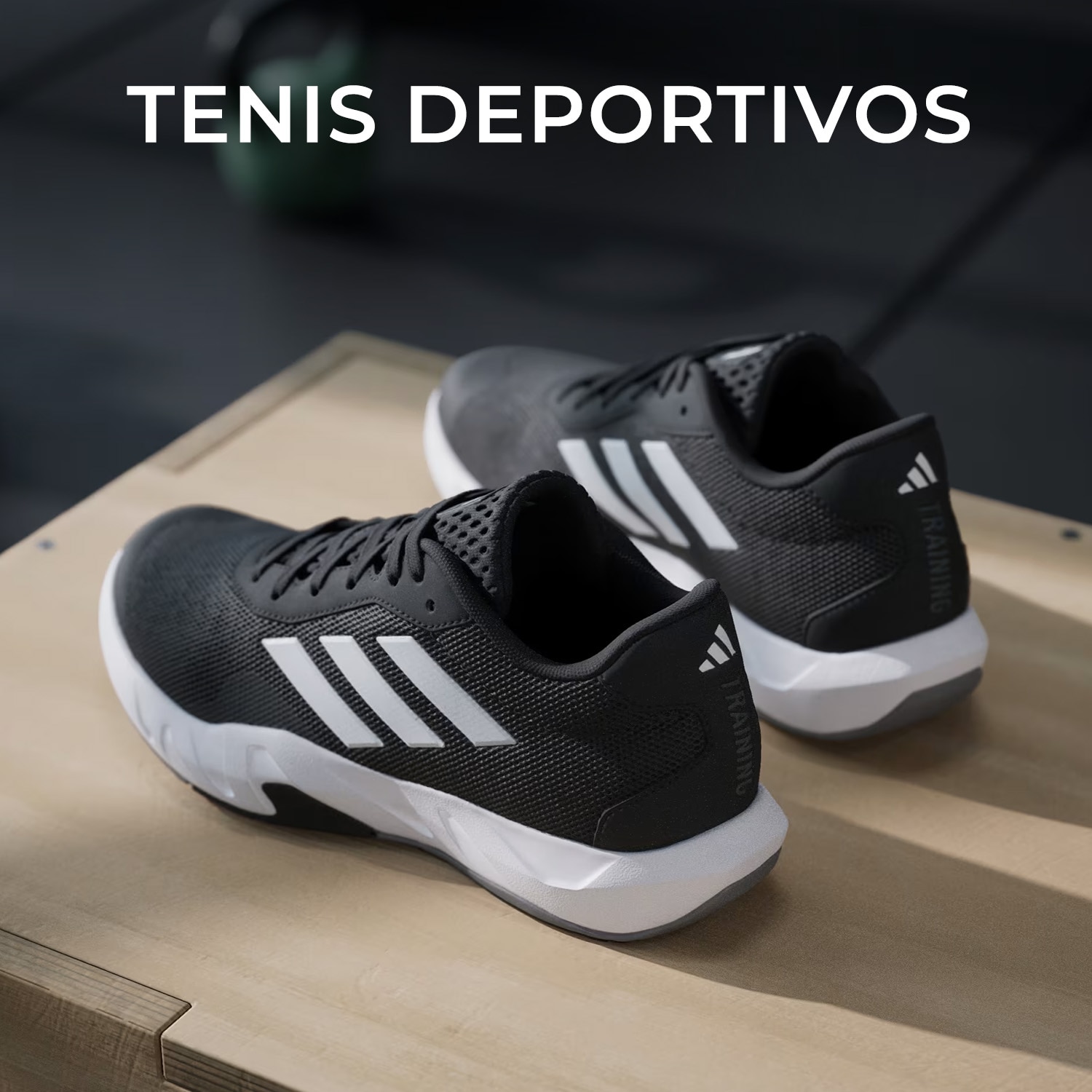 tenis