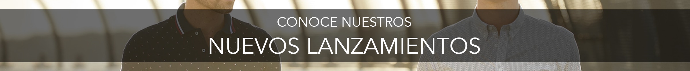 Banner Principal