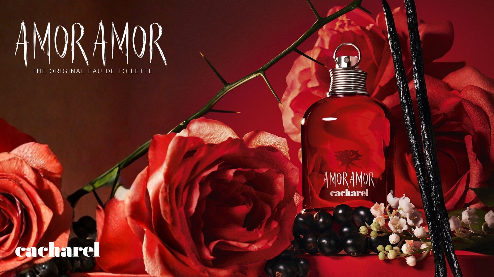 Belleza y Perfumería