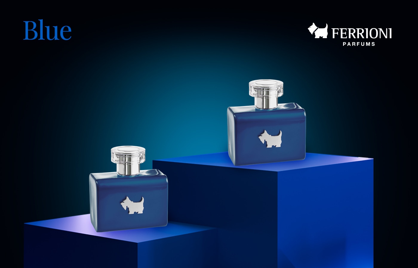 Belleza y Perfumería