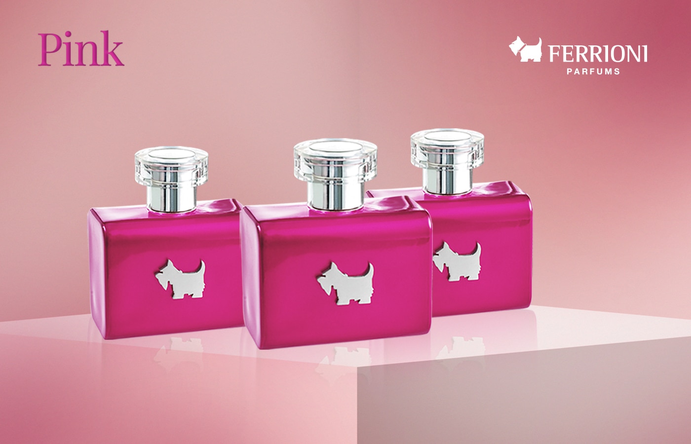 Belleza y Perfumería