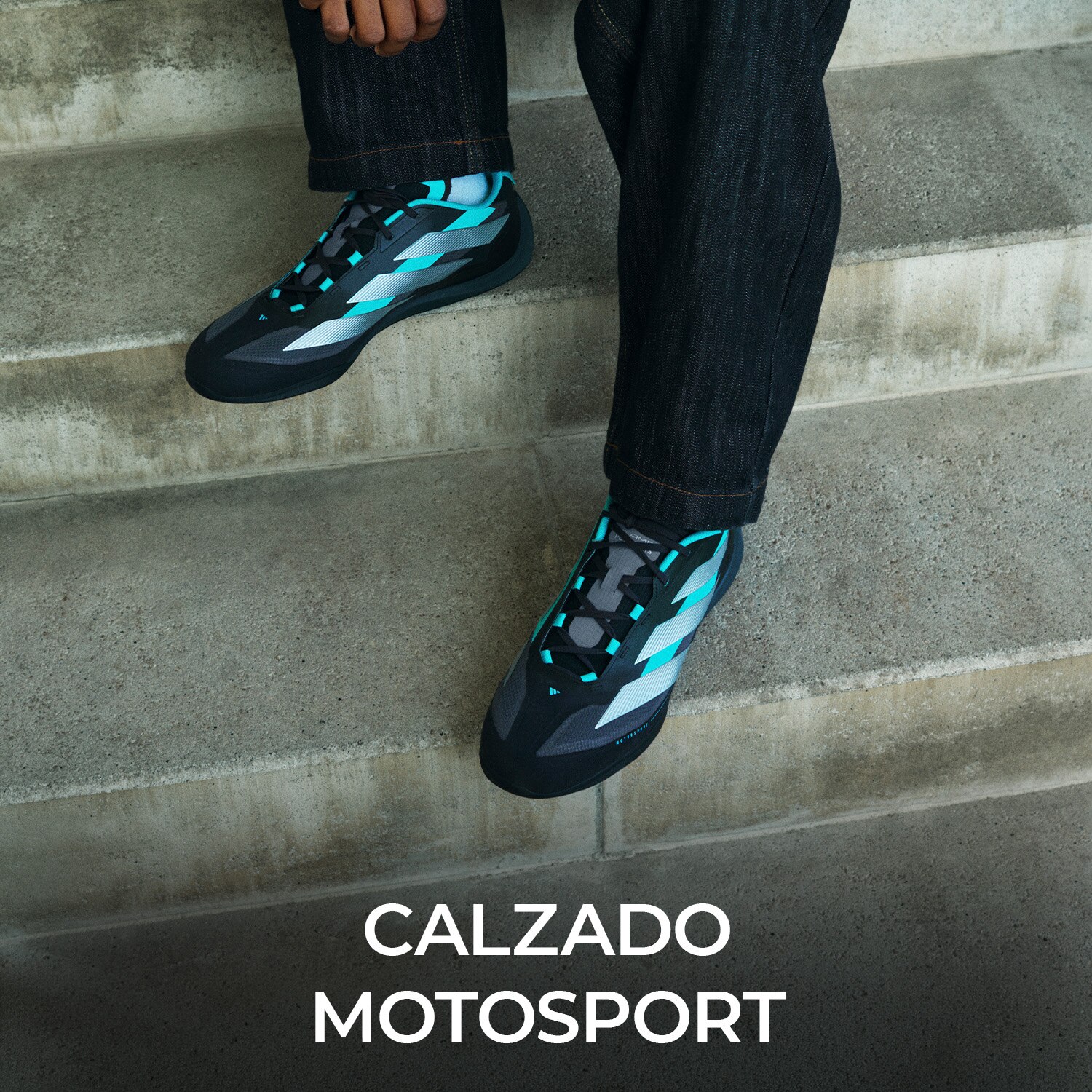 CALZADO