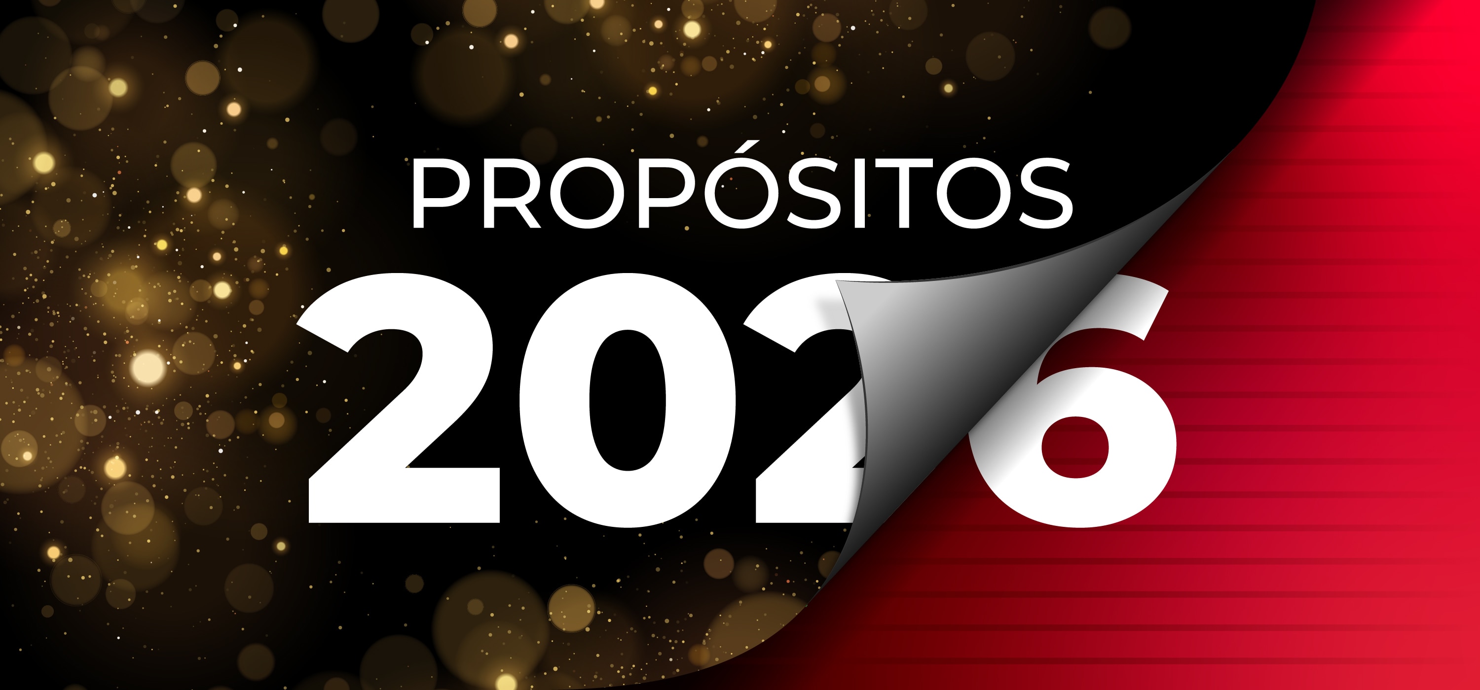 ZONA MÁGICA-BAZAR NAVIDEÑO