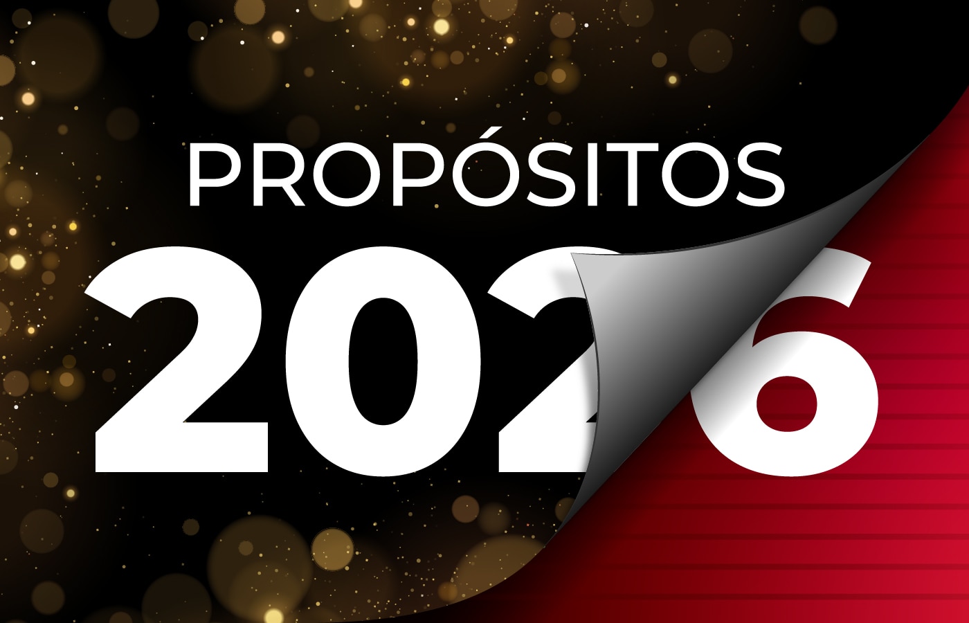 ZONA MÁGICA-BAZAR NAVIDEÑO