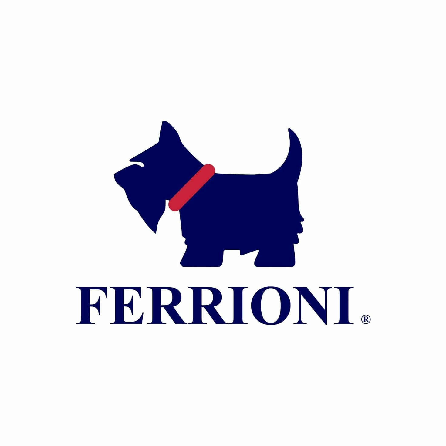 ferrioni