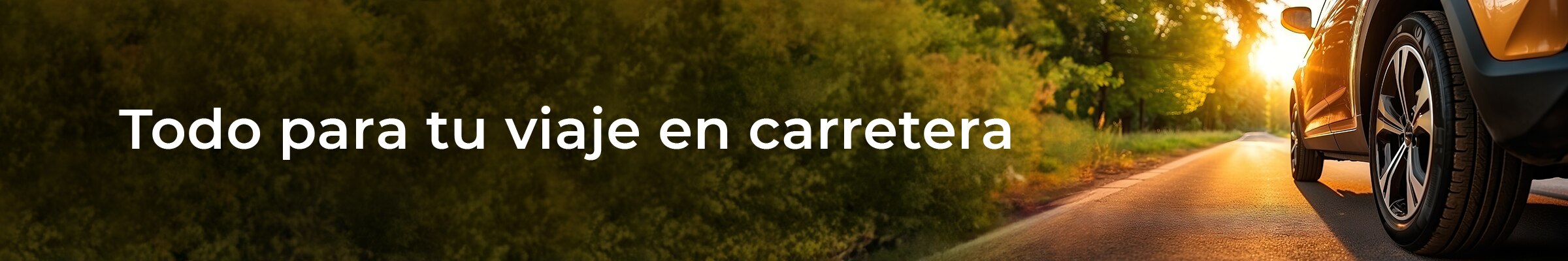 Banner Principal