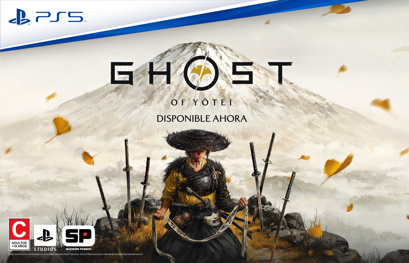 Videojuegos