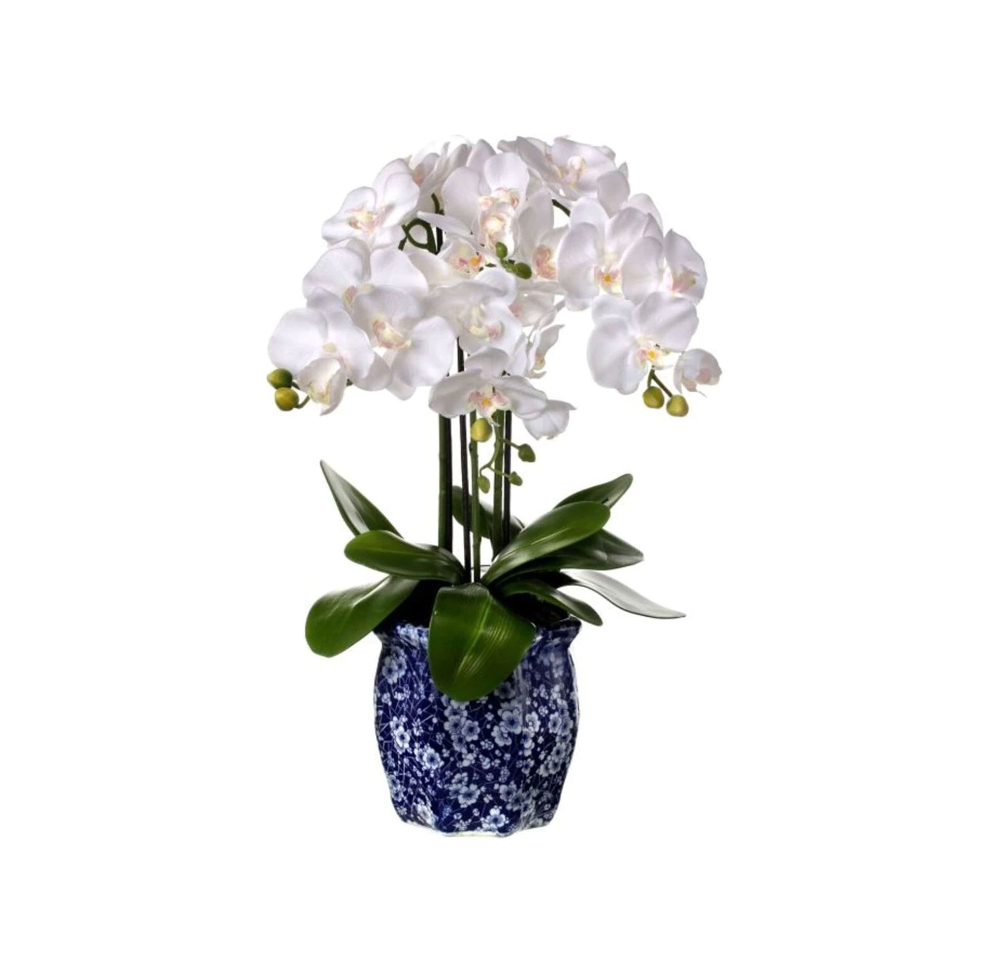 FLORES