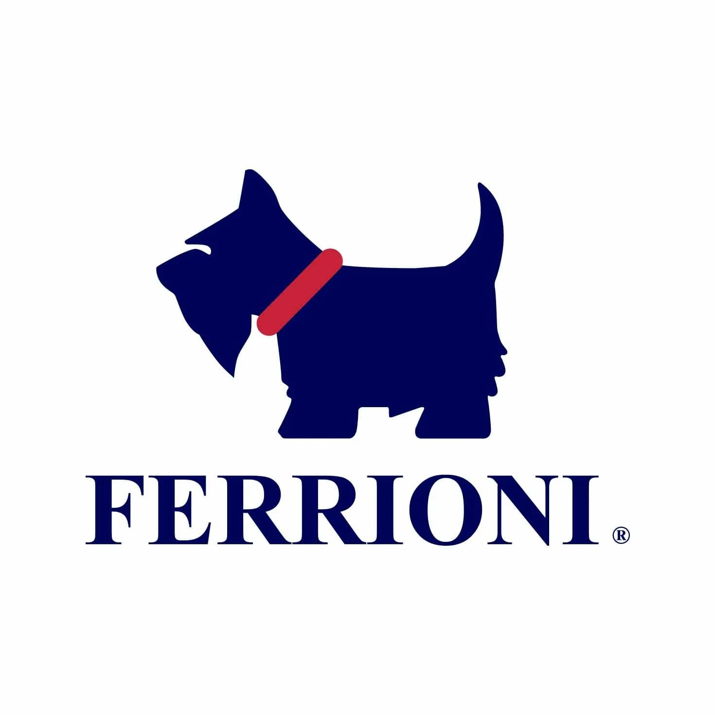 Ferrioni